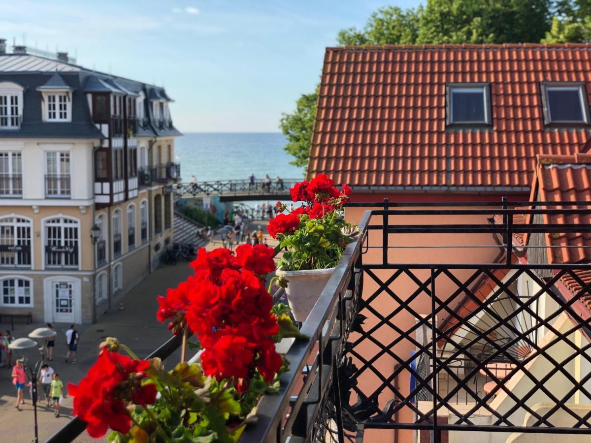 Apartamenty I Pokoje Chaton Mielno Mielno  Exteriér fotografie